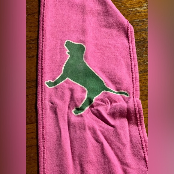 VS PINK ~ “East Division 80 Phi Beta Pink” Scarf {HTF} - Picture 5 of 14